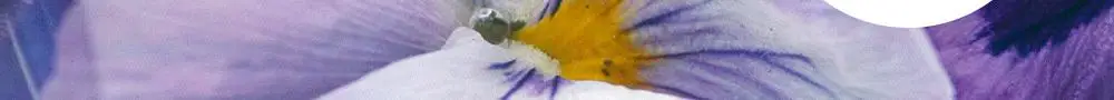 [-8.1도 즉각쿨링/슬러시젤크림] 믹순 히알레배 포어 워터풀 젤크림 60ML 상세페이지 22